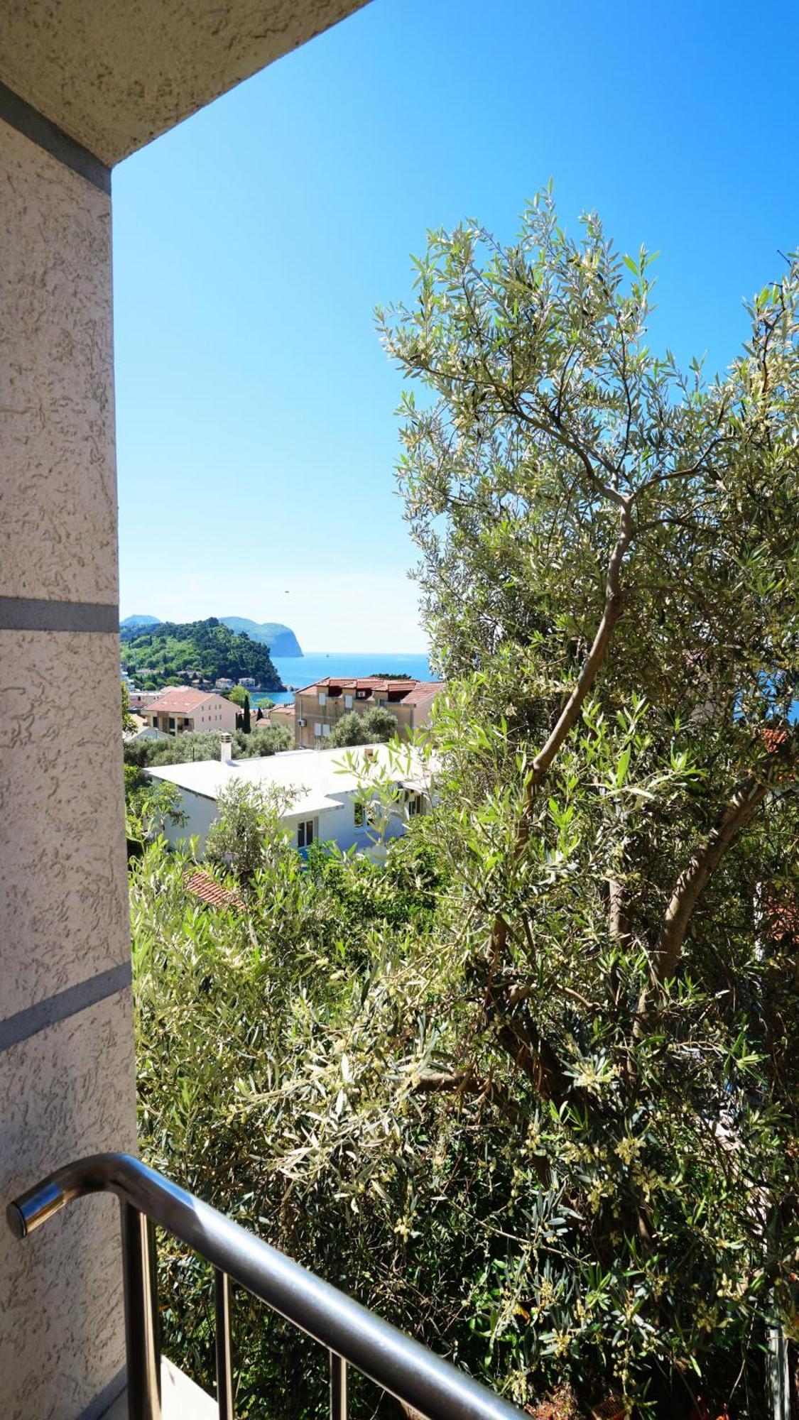 Medin Apartments Bluvista Petrovac Luaran gambar